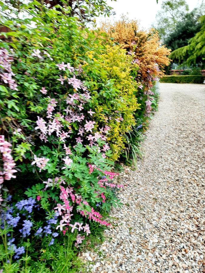 Ivy House Barn, Heckington Villa Exterior foto